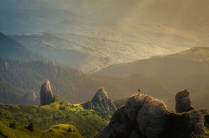 Expériences en pleine nature